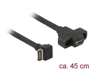 Delock Kabel USB 3.1 Gen 2 key A 20 pin samec > USB 3.1 Gen 2 USB Type-C samice mont na panel 45 cm