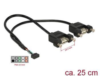 Delock Kabel USB 2.0 pin konektor samice 2,00 mm 10 pin > 2 x USB 2.0 Typ-A samice panel pro mont 25 cm