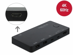 Delock HDMI / USB-C KVM Switch 4K 60 Hz s USB 2.0