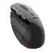 Acer Easy Fit Mouse  Black, Wireless HP.EXPBG.021
