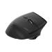Acer Easy Fit Mouse  Black, Wireless HP.EXPBG.021