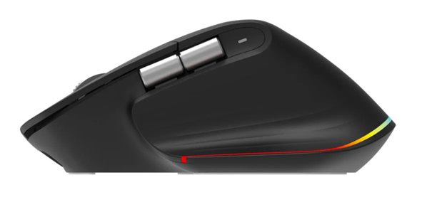 Acer Easy Fit Mouse  Black, Wireless HP.EXPBG.021