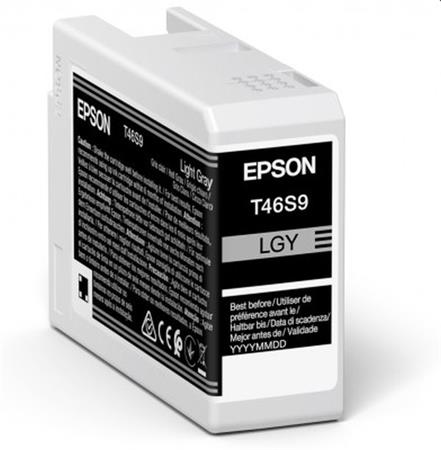 Epson C13T46S900 Light Gray - originál