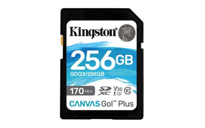 Kingston Canvas Go Plus SDXC 256 GB/UHS-I U3 / Class 10 / SDG4/256GB