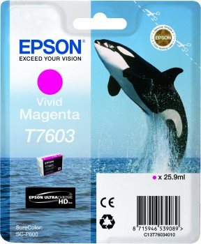 EPSON T7603 Vivid Magenta (kosatka) - originál